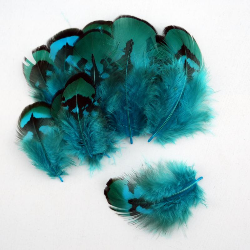 Wedding Supply In Bulk - Plumas de Faisán Naturales Teñidas de