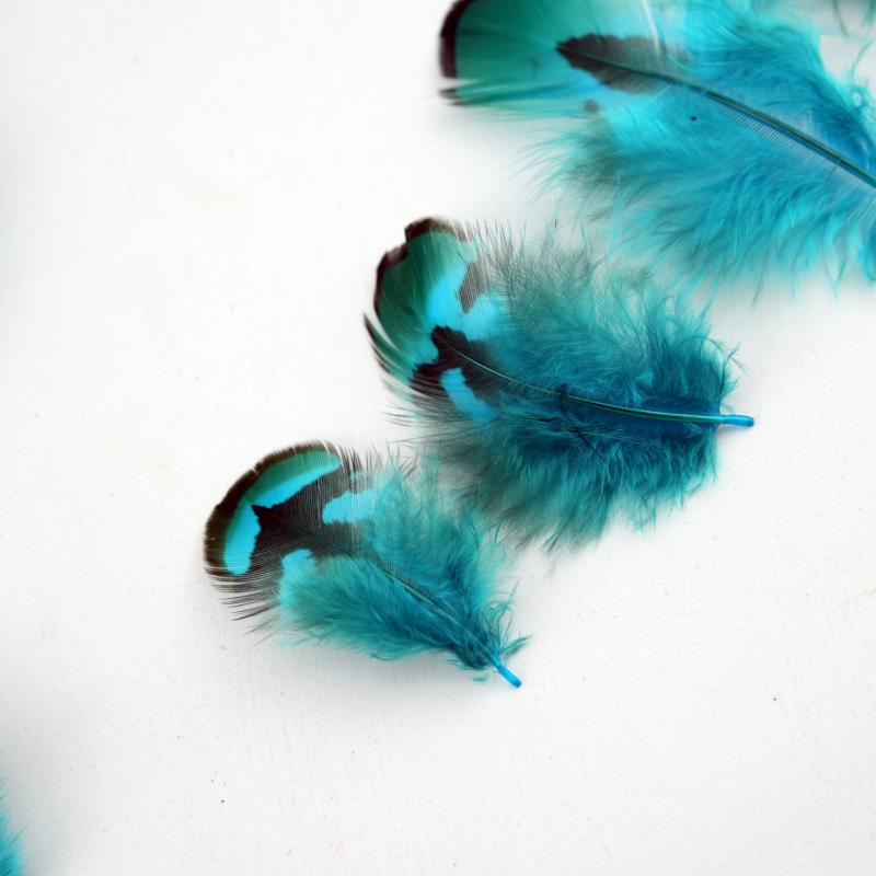 Plumas de Faisán Naturales Teñ - Wedding Supply In Bulk reseña y precio