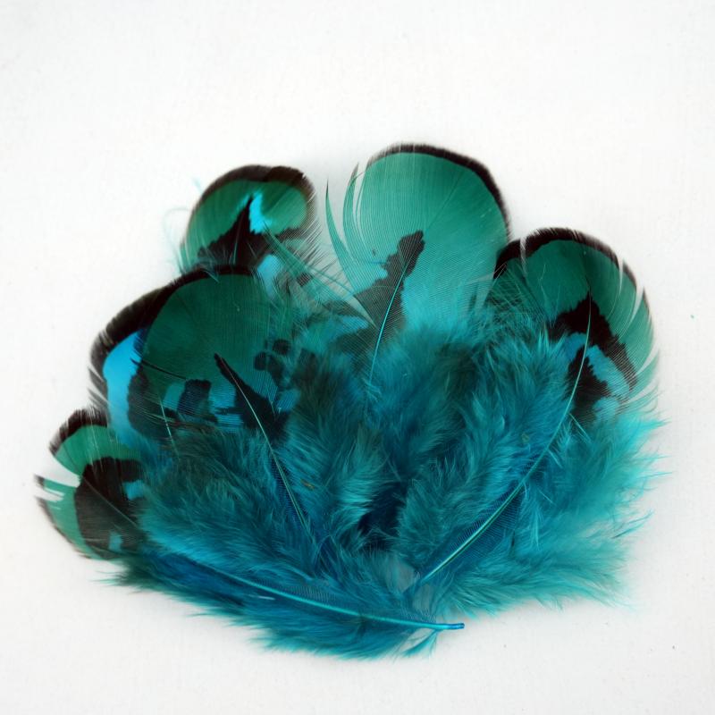 Plumas de Faisán Naturales Teñ - Wedding Supply In Bulk reseña y precio