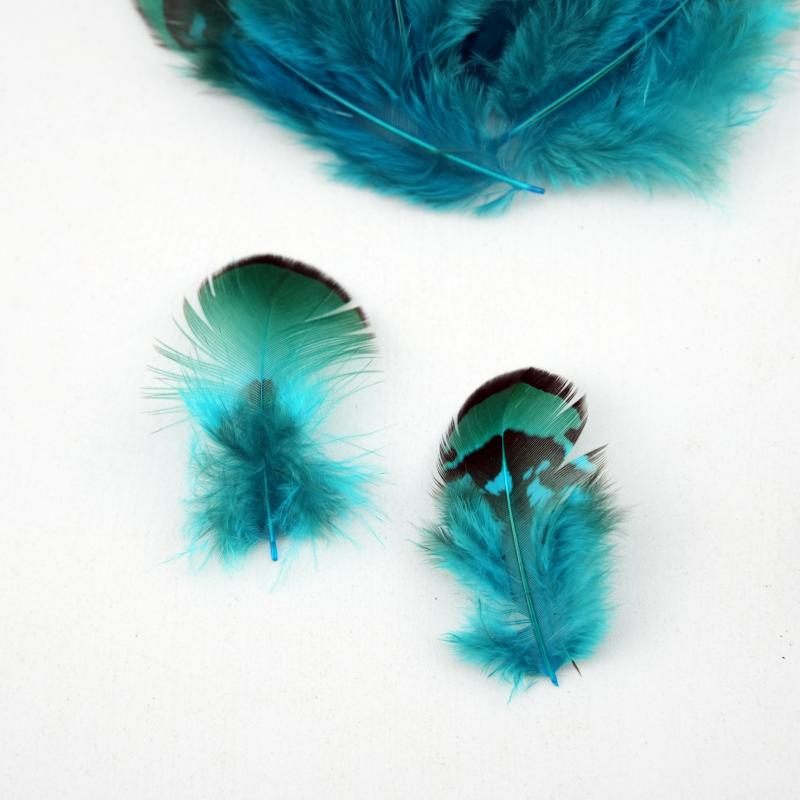 Plumas de Faisán Naturales Teñ - Wedding Supply In Bulk reseña y precio