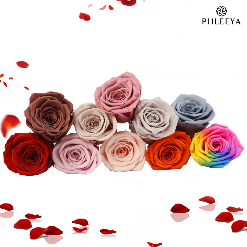 6 uds cabezas de flores de ros - Wedding Supply In Bulk reseña y precio