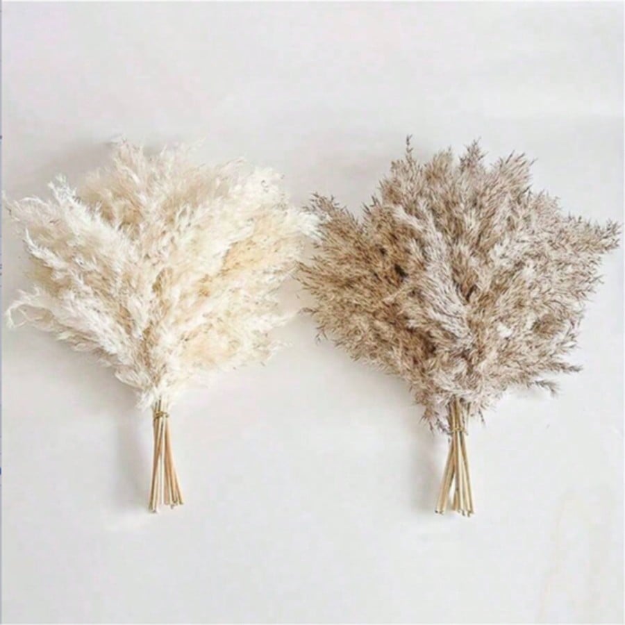 10/20/30 piezas de hierba de p - Wedding Arch Flower reseña y precio